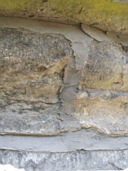 christchurch -1252.jpg